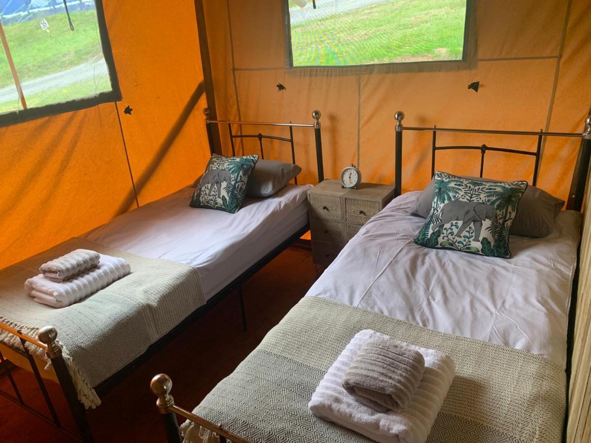 Mountain View Safari Tent With Hot Tub In The Heart Of Snowdonia Dolgellau Eksteriør bilde