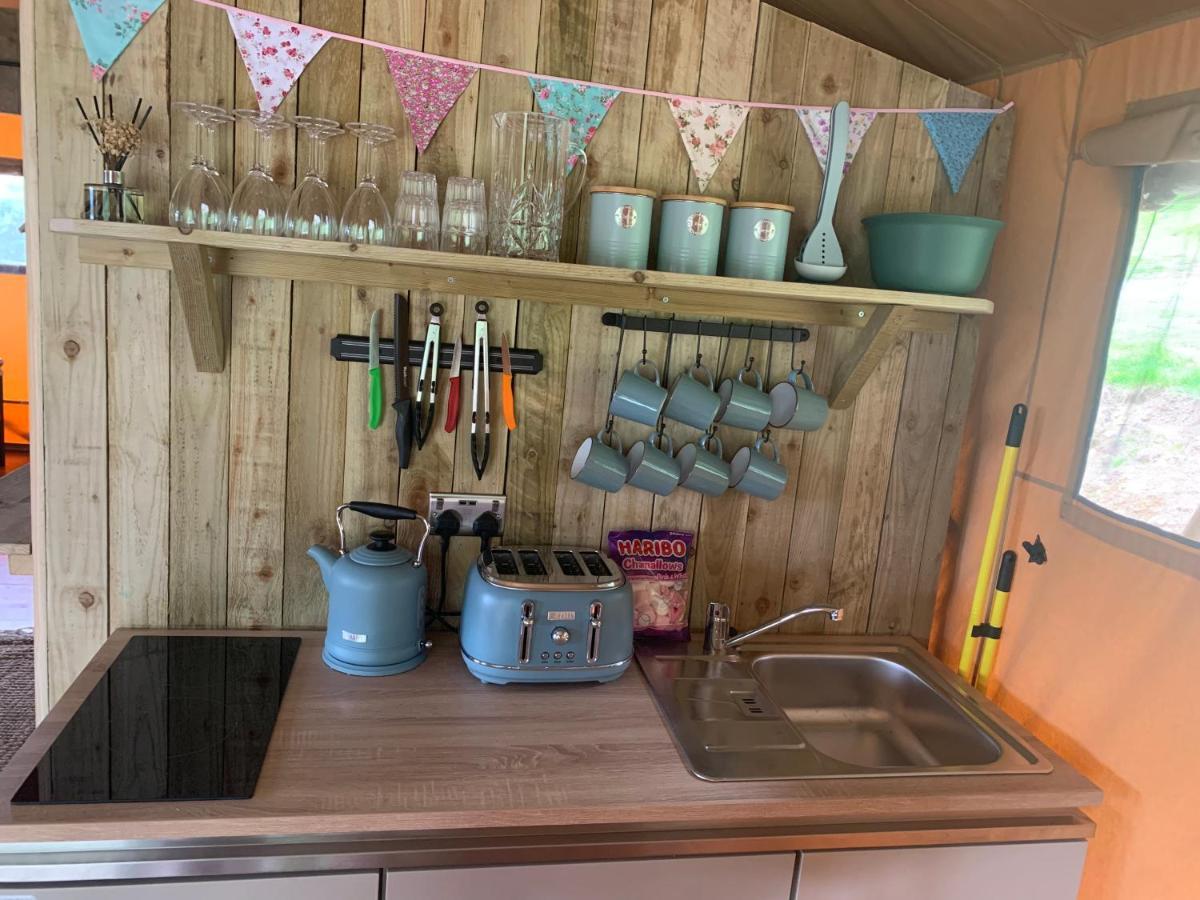 Mountain View Safari Tent With Hot Tub In The Heart Of Snowdonia Dolgellau Eksteriør bilde