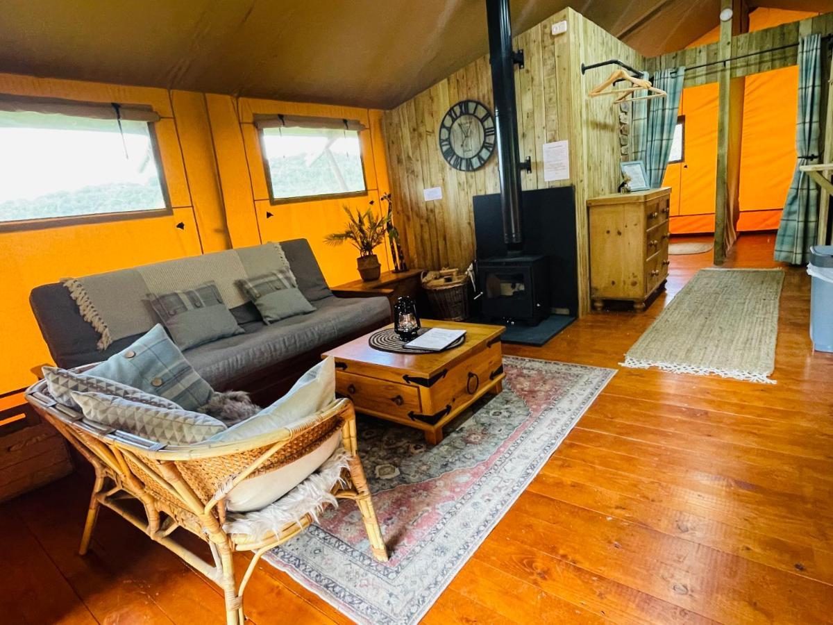 Mountain View Safari Tent With Hot Tub In The Heart Of Snowdonia Dolgellau Eksteriør bilde